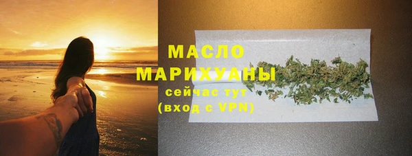 молекула духа Горнозаводск