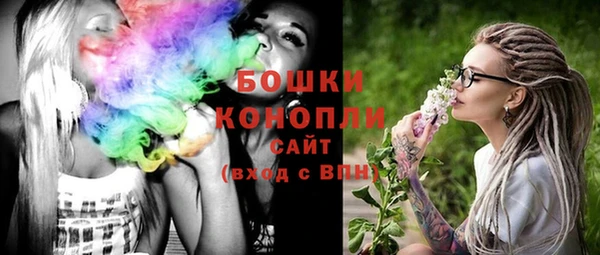молекула духа Горнозаводск