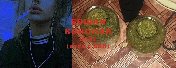 молекула духа Горнозаводск