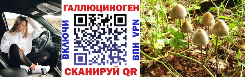 Галлюциногенные грибы Cubensis  Белгород 