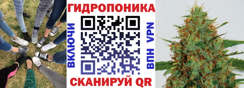 Канабис сатива  Белгород 